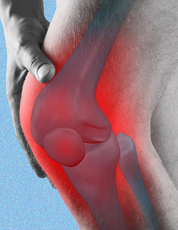 Orthopedic Hip Specialist